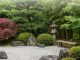 Plantes pour jardin zen : variétés incontournables pour créer une ambiance harmonieuse